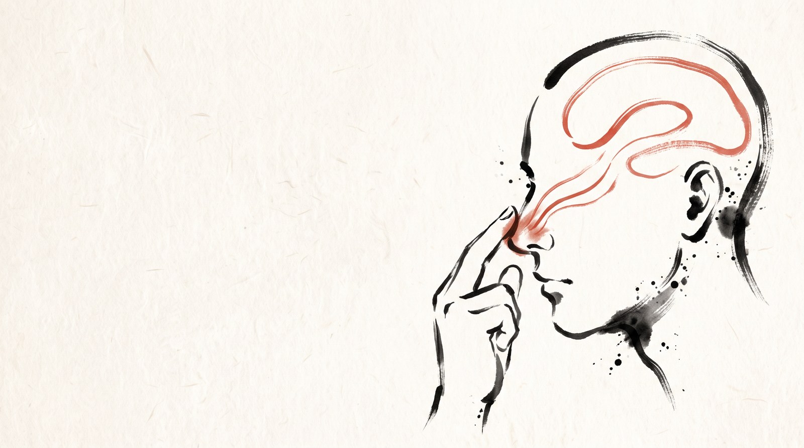 코 마사지 방법 순서, 브레인 포그에 좋다는 주장과 주의점 삽화